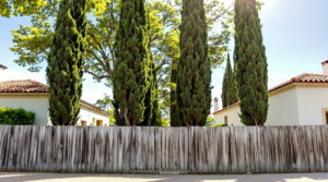 scopri cosa puoi fare legalmente se gli alberi del vicino sono troppo alti e lui si rifiuta di potarli. consigli pratici e diritti per risolvere la situazione.