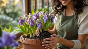 scopri come dare nuova vita ai tuoi giacinti sfioriti dopo natale con semplici tecniche di ripiantumazione. non buttarli, segui i nostri consigli per farli rifiorire!